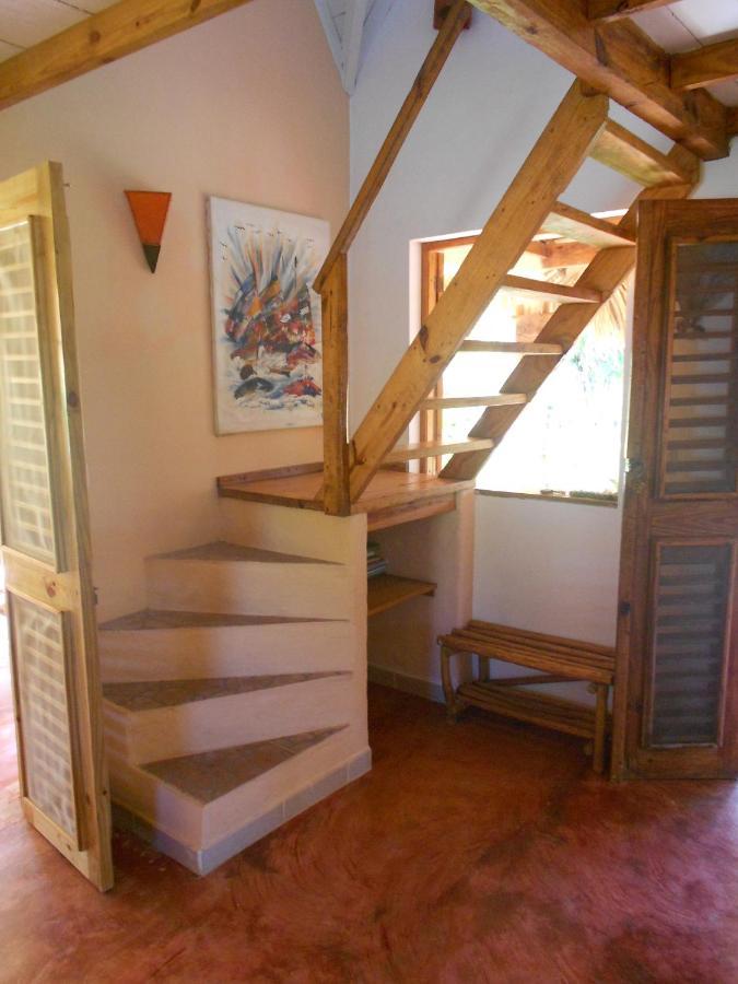 Palm-Covered House In The Tropical -Casa Oli Las Galeras Eksteriør bilde