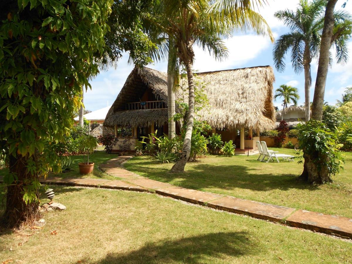 Palm-Covered House In The Tropical -Casa Oli Las Galeras Eksteriør bilde