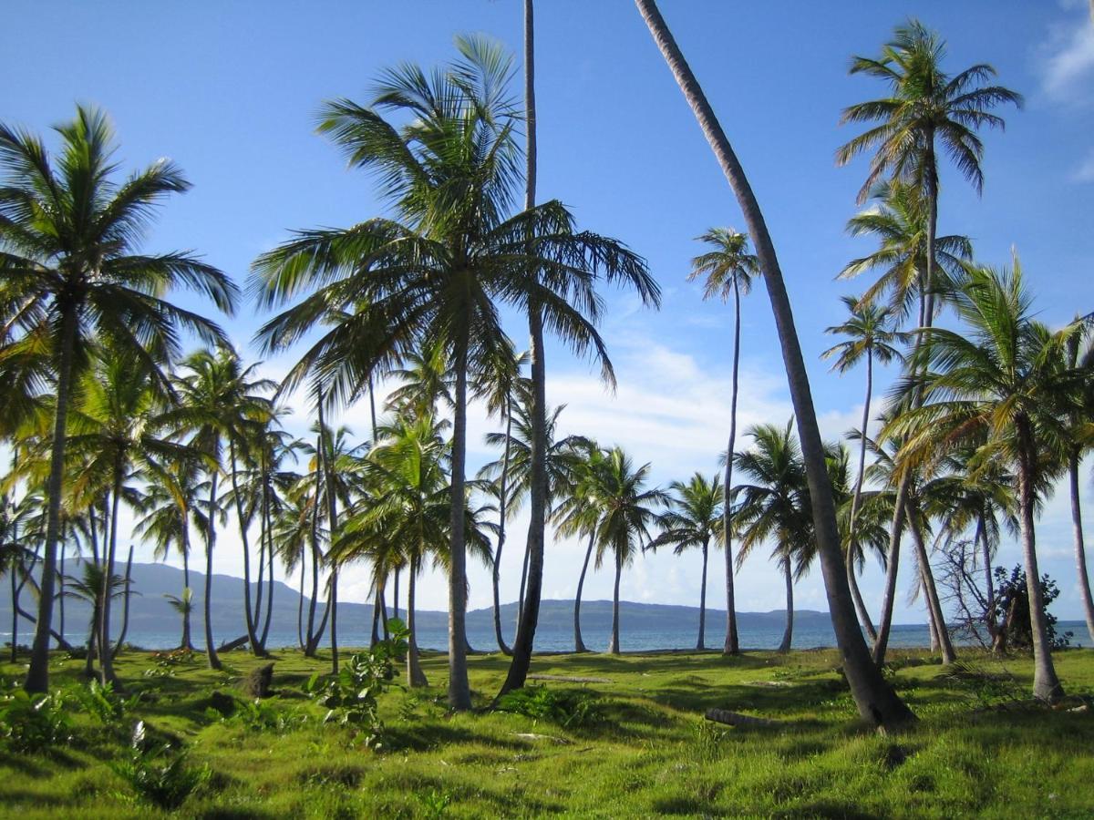 Palm-Covered House In The Tropical -Casa Oli Las Galeras Eksteriør bilde