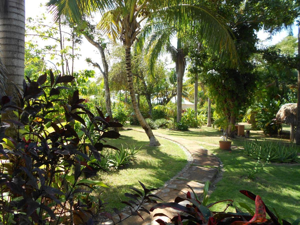 Palm-Covered House In The Tropical -Casa Oli Las Galeras Eksteriør bilde